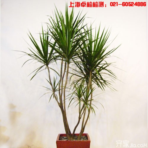 上海室內(nèi)空氣質(zhì)量檢測中心-上海CMA檢測報告